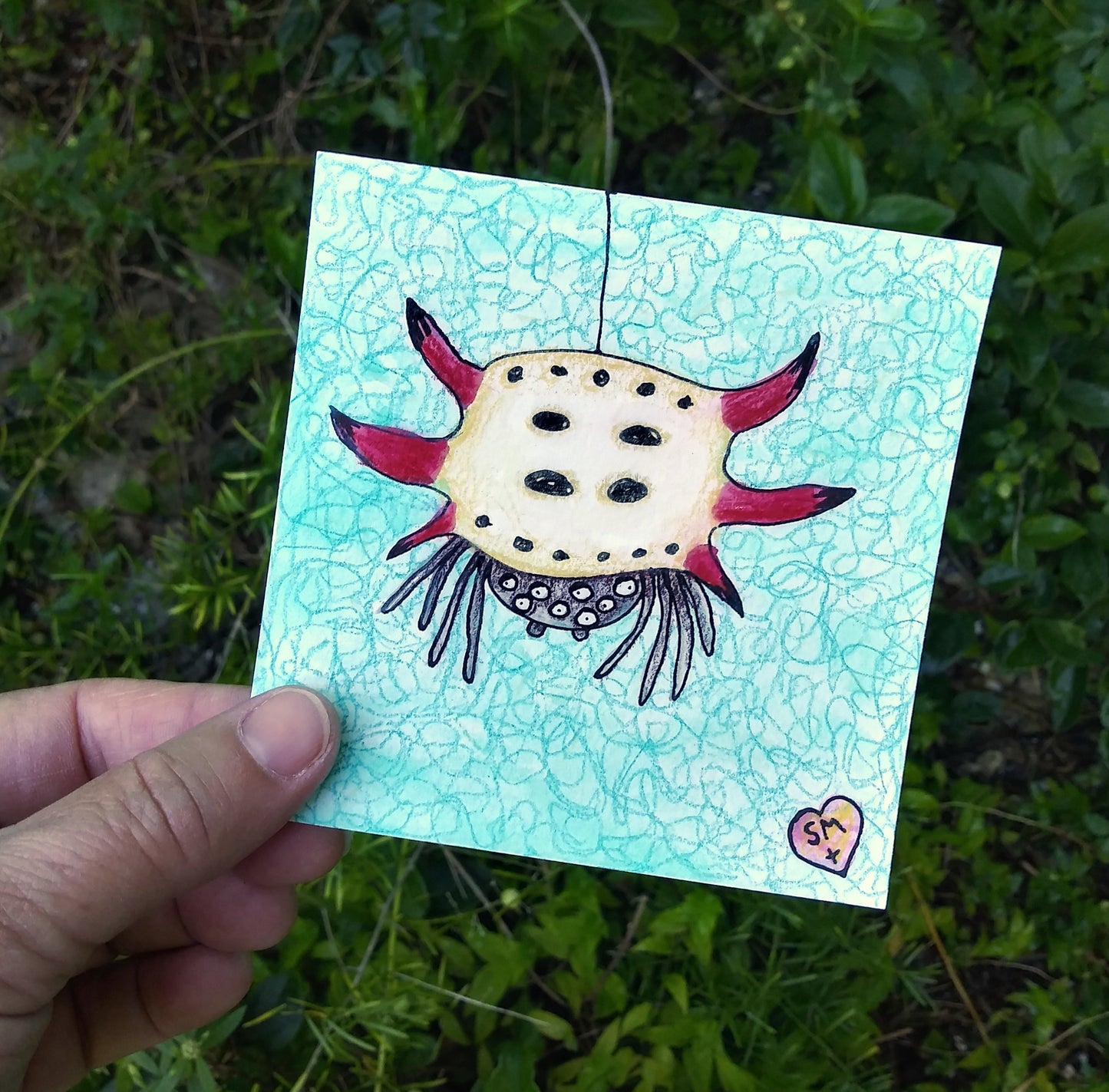 Hello Spiny Orbweaver