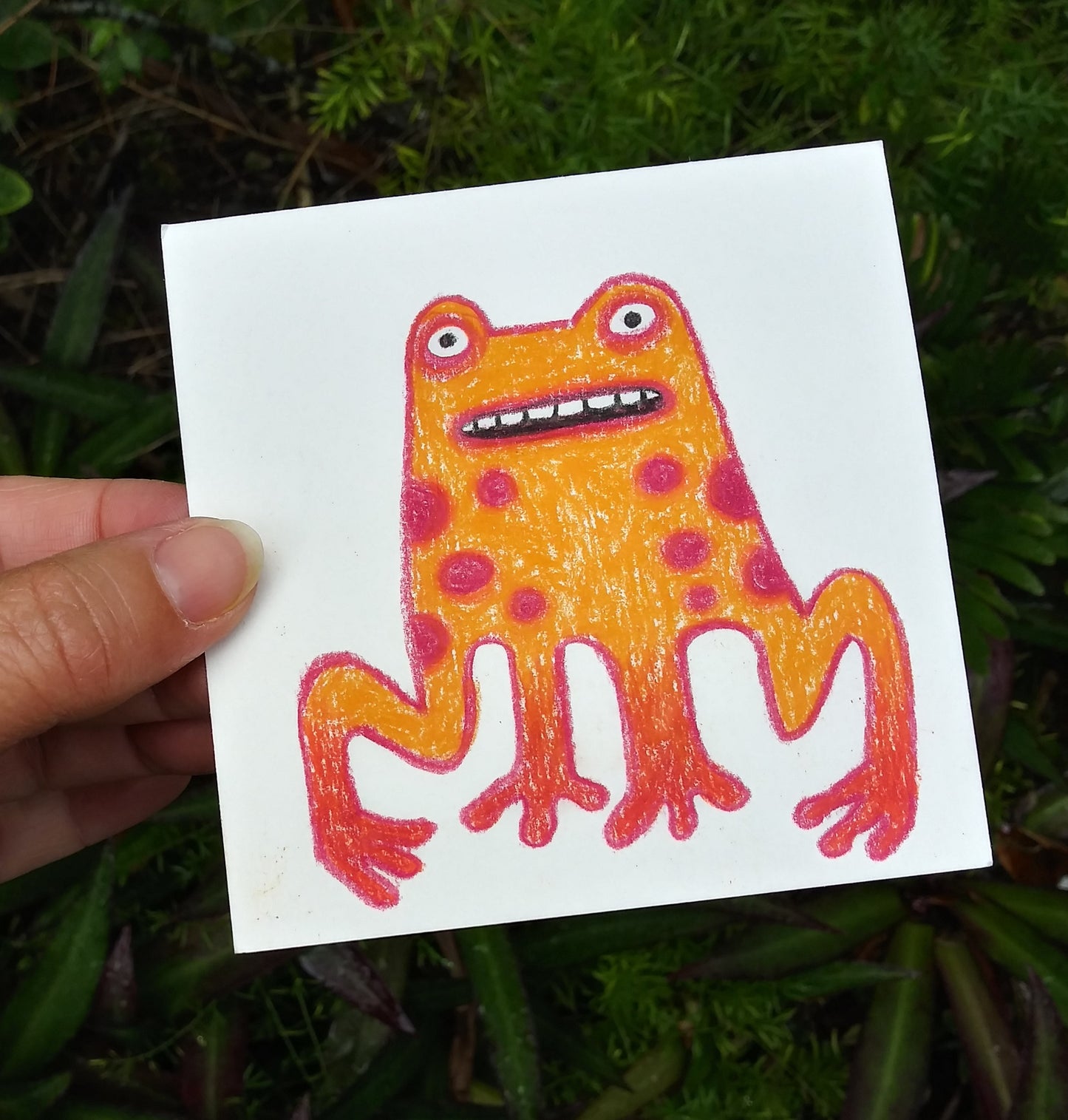 Froggie / Tangerine & Magenta