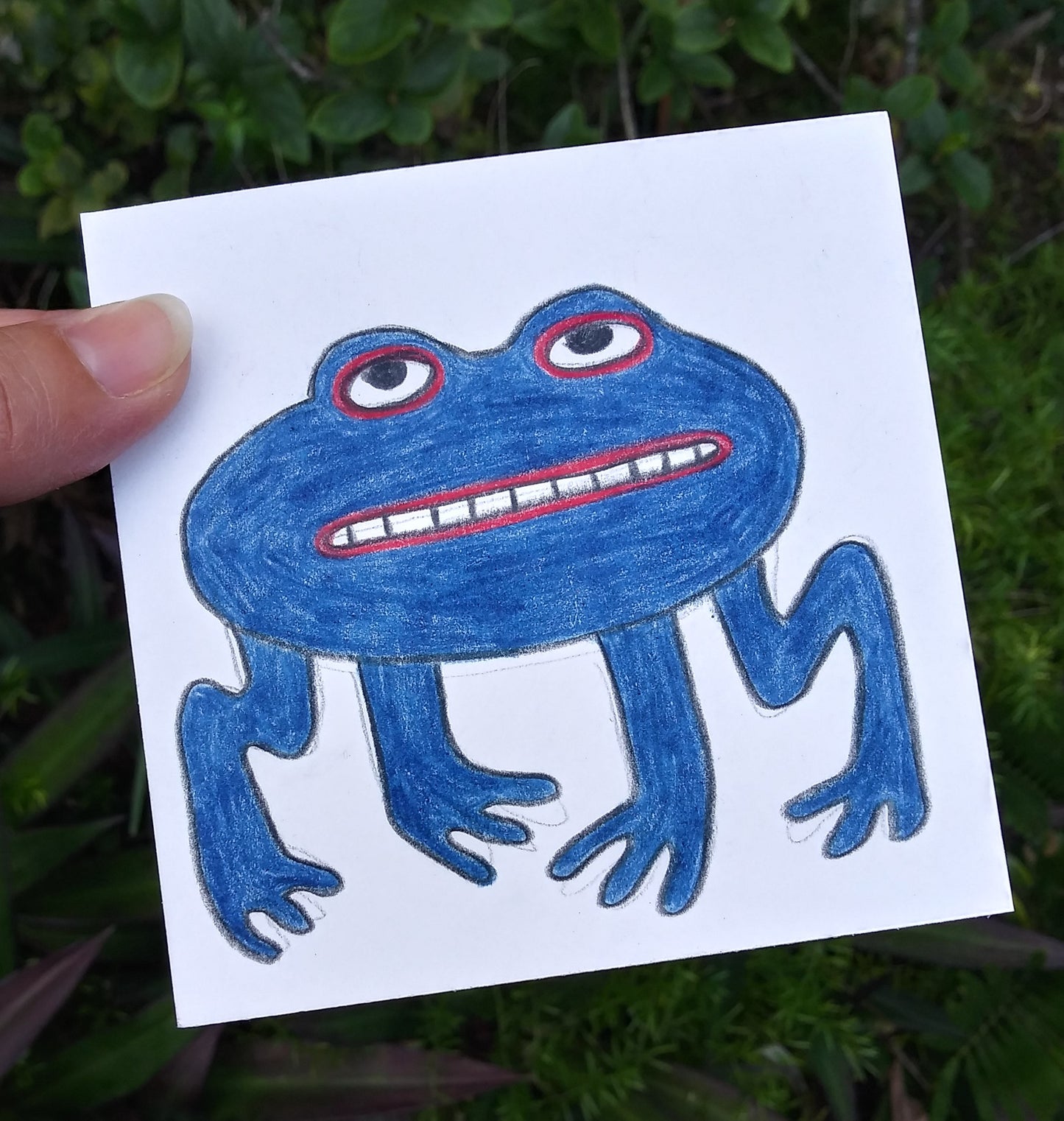 Froggie / Midnight Blue