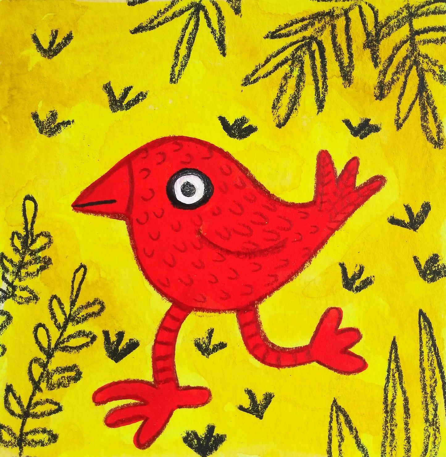Red Bird