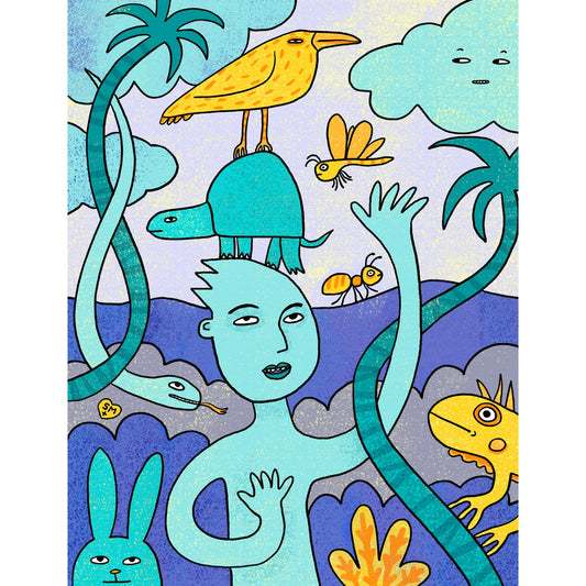 I Like Turtles