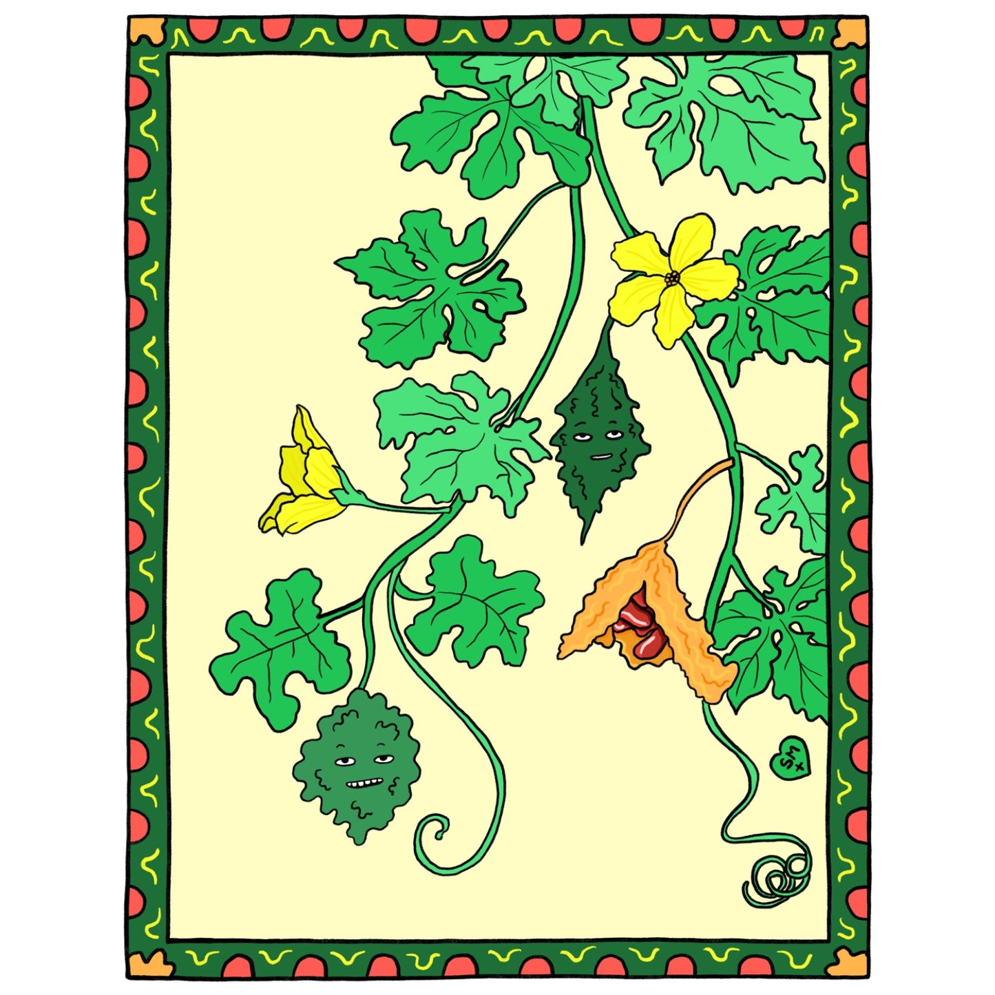 Bitter Gourd