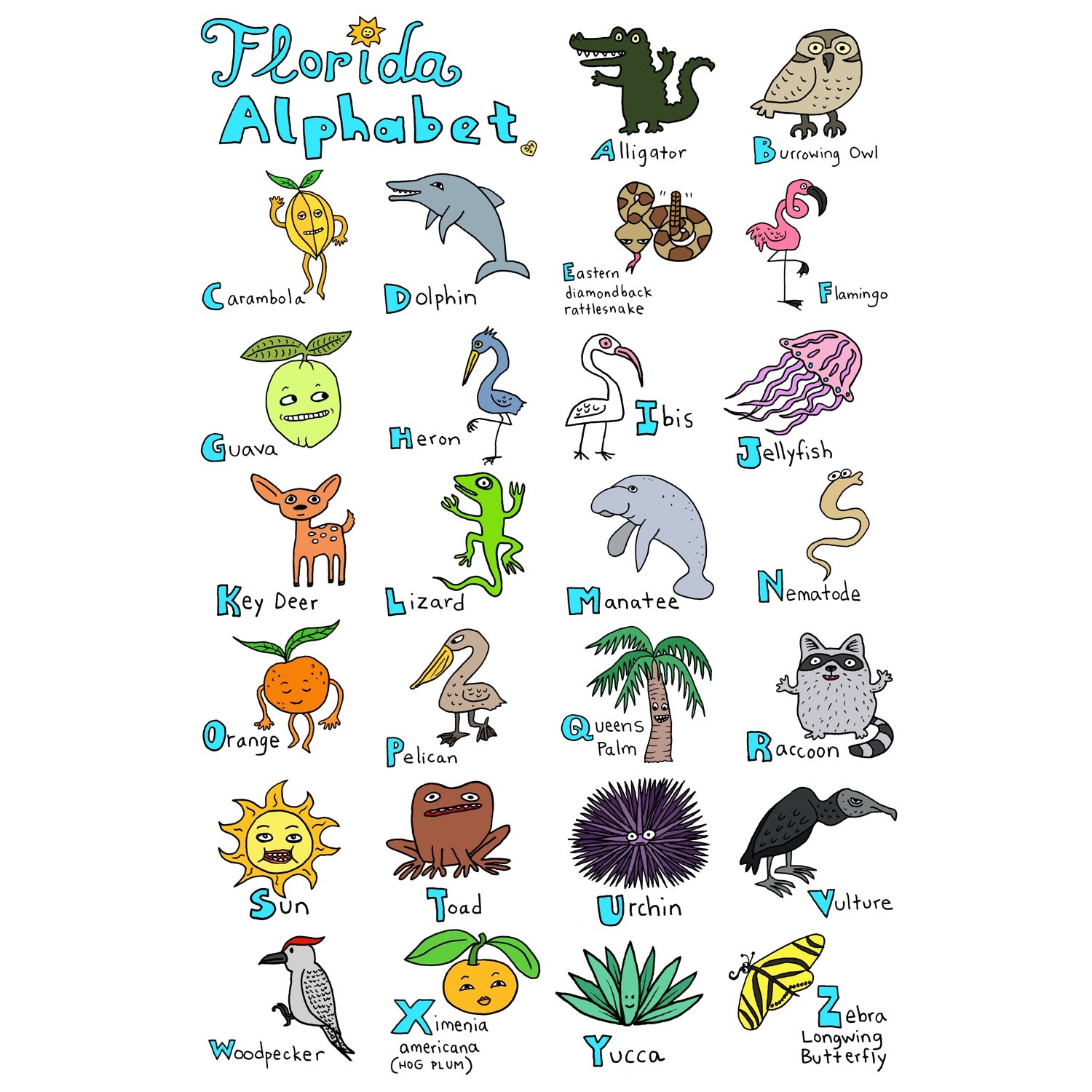 Florida Alphabet