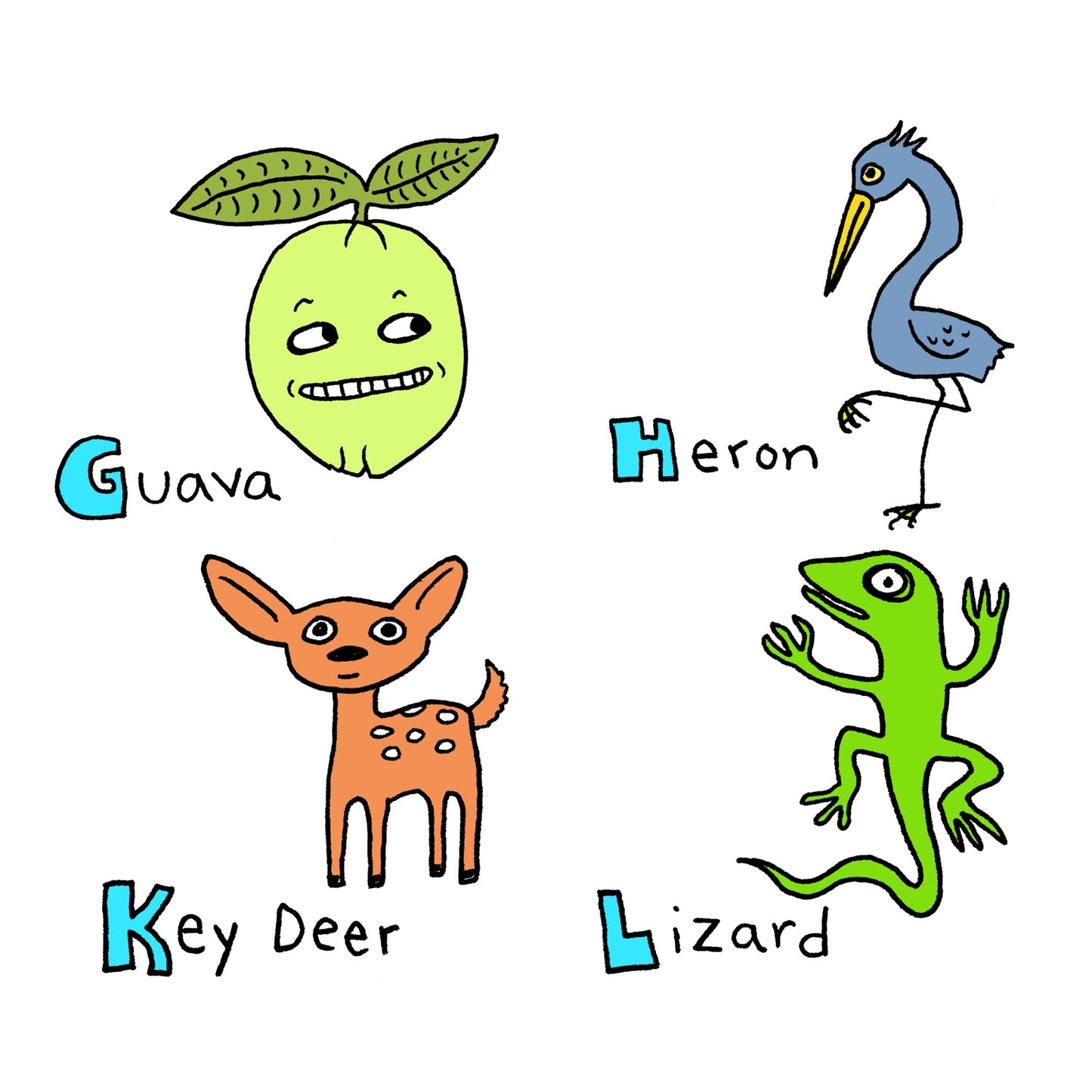 Florida Alphabet