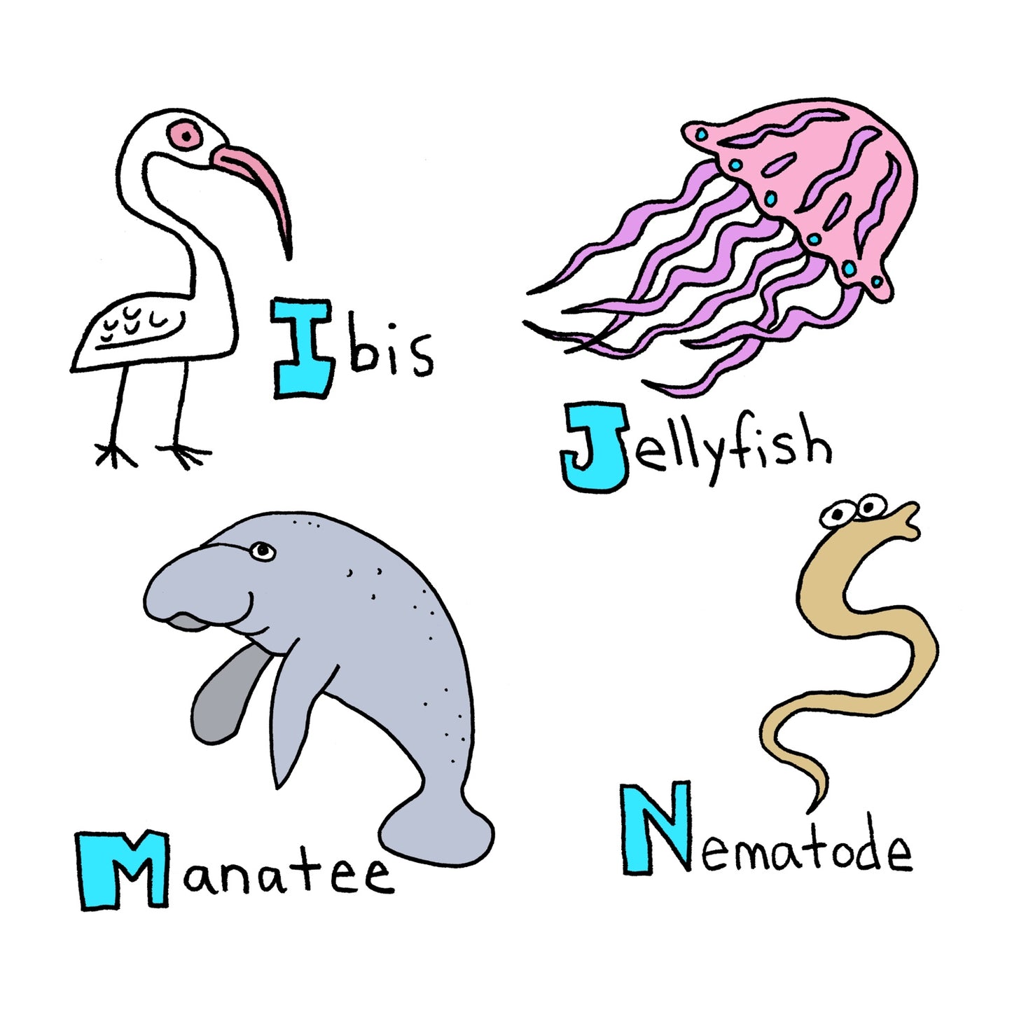 Florida Alphabet