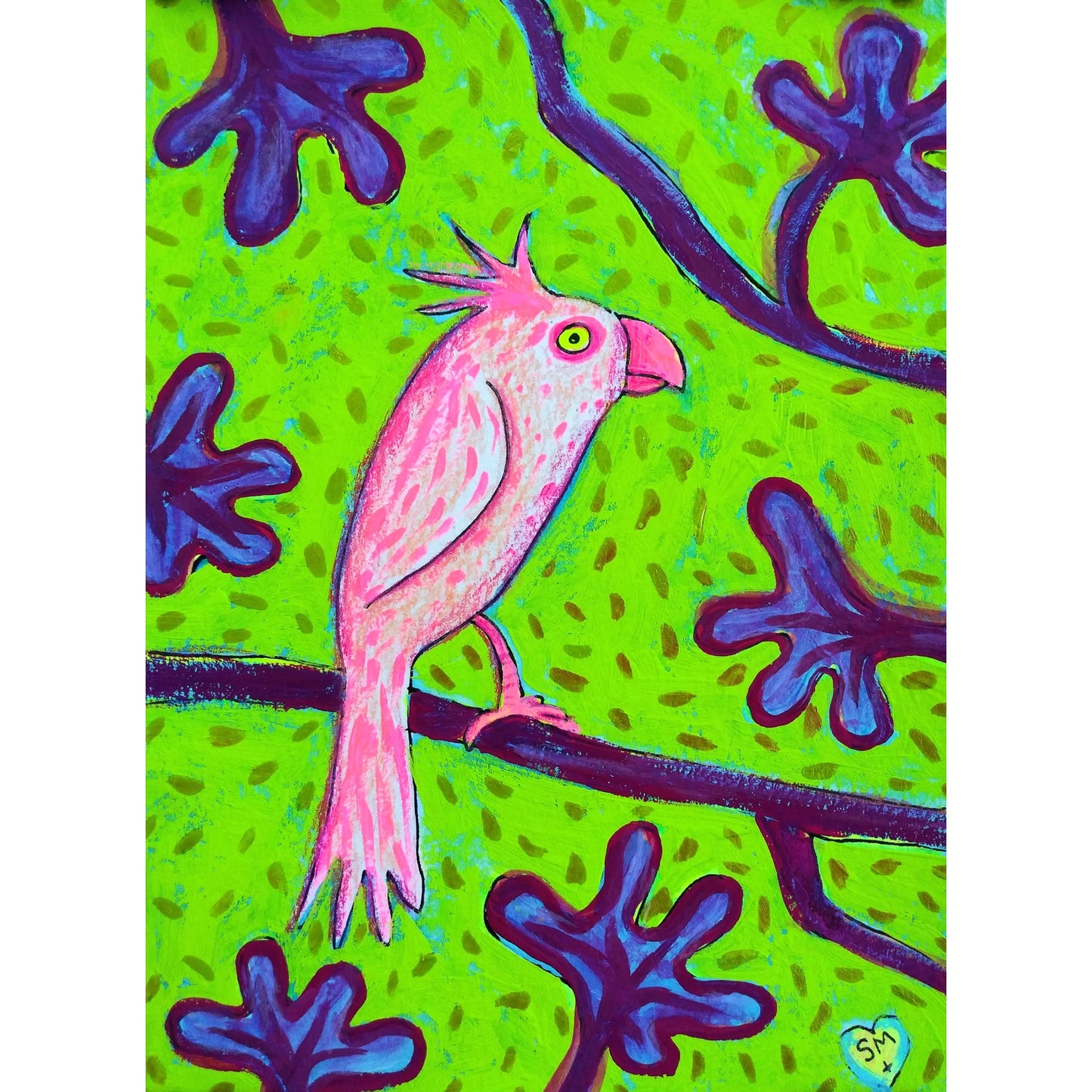 Cockatoo