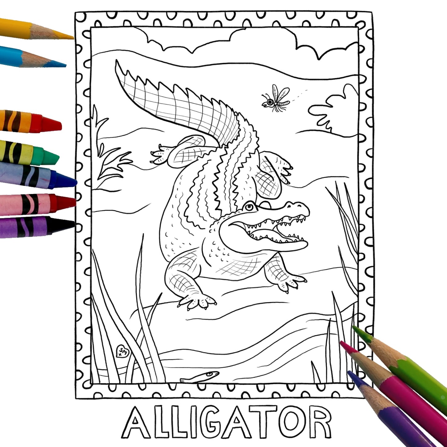Coloring Book: South Florida Plants & Wildlife