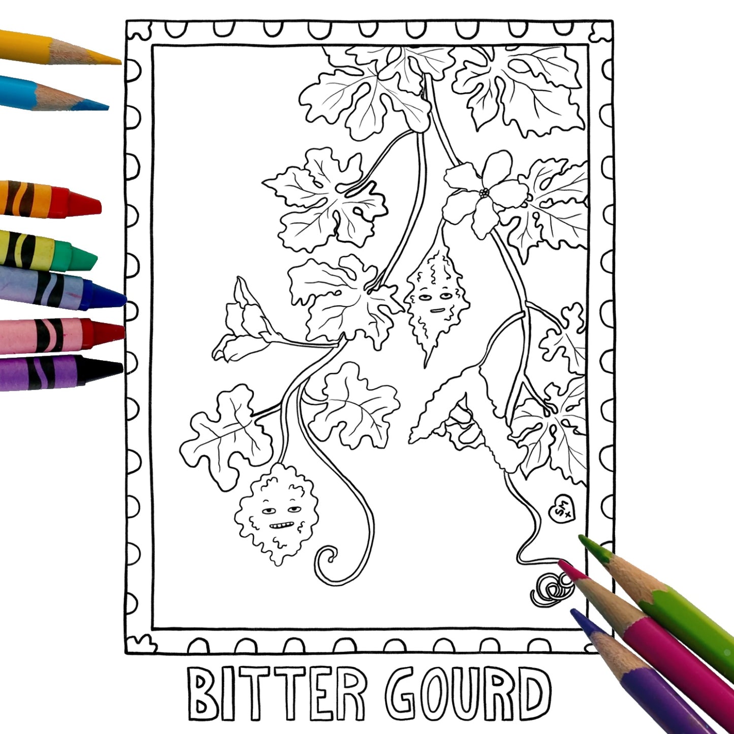 Coloring Book: South Florida Plants & Wildlife