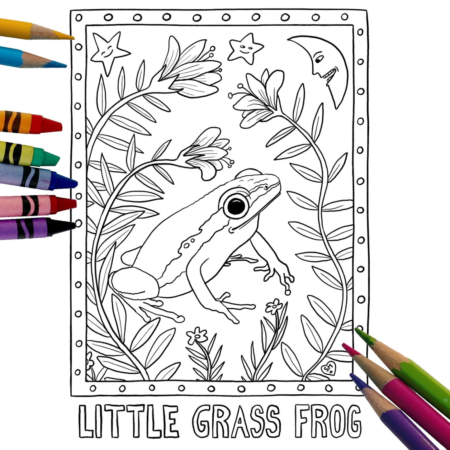 Coloring Book: South Florida Plants & Wildlife