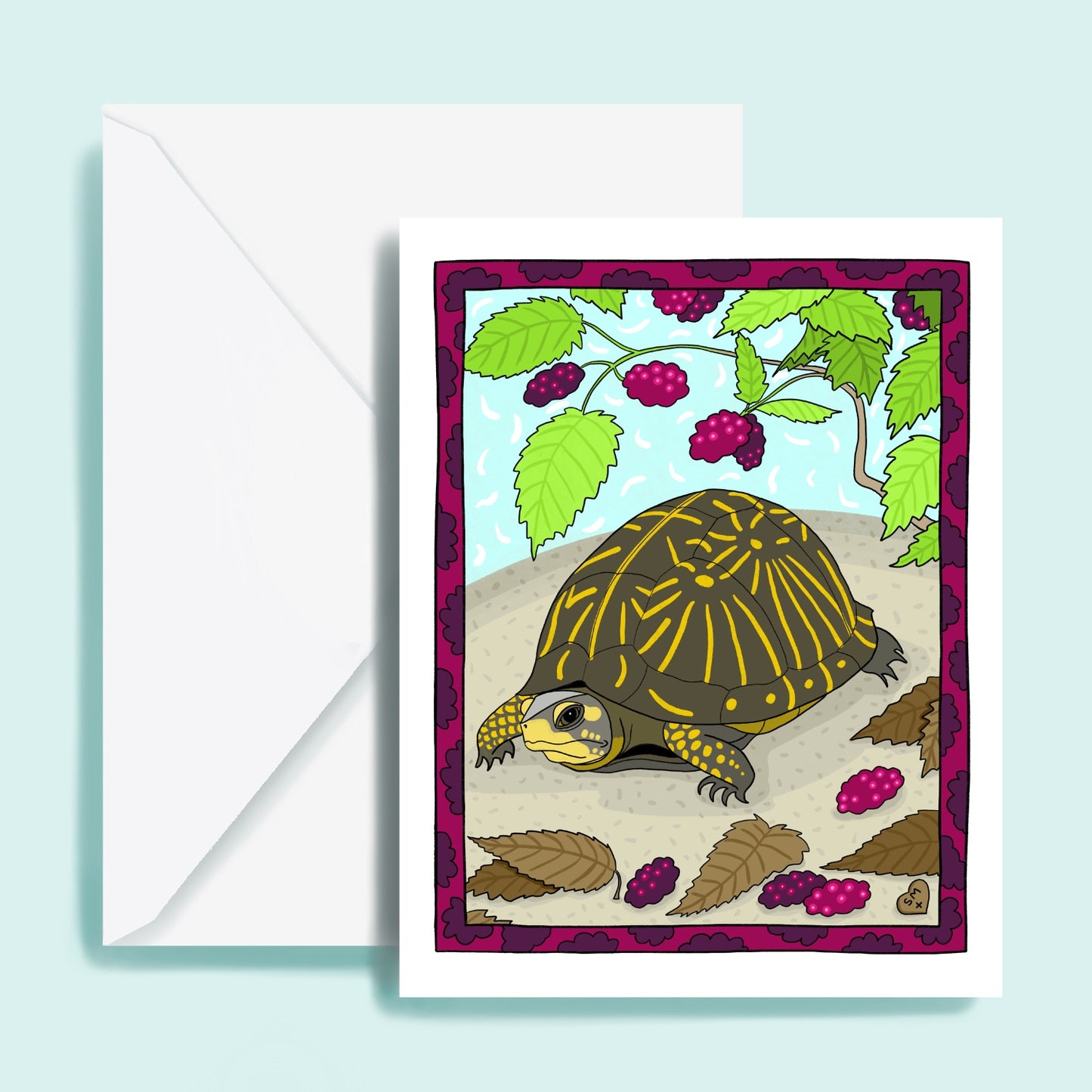 Florida Box Turtle