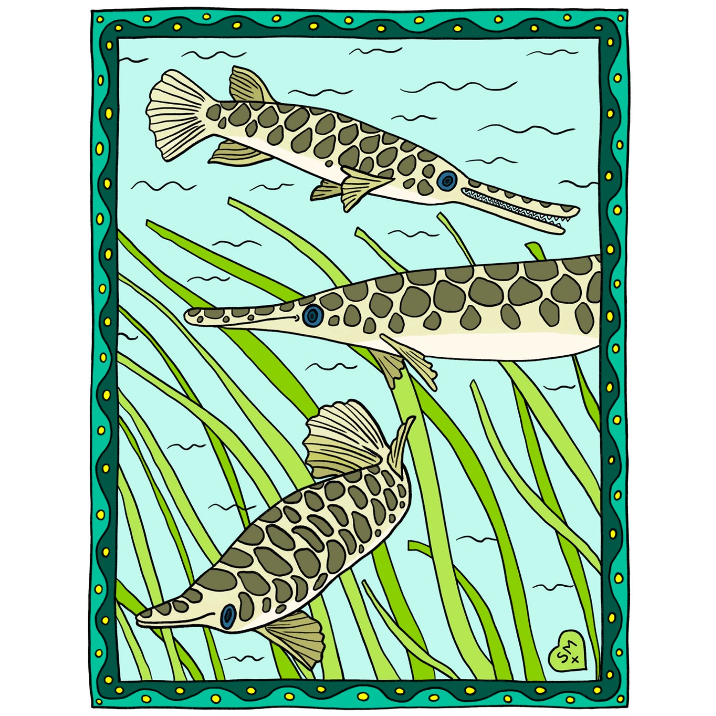 Florida Gar