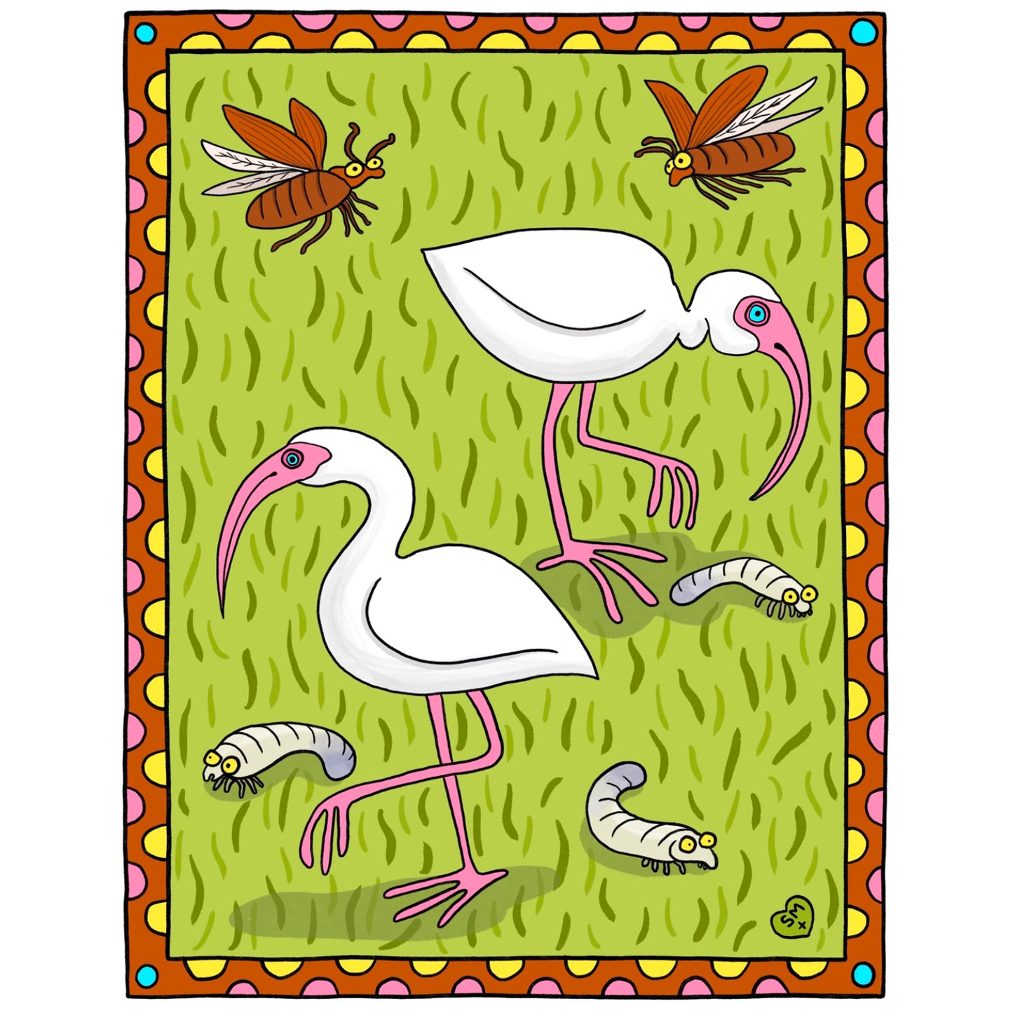 Ibis + Junebug