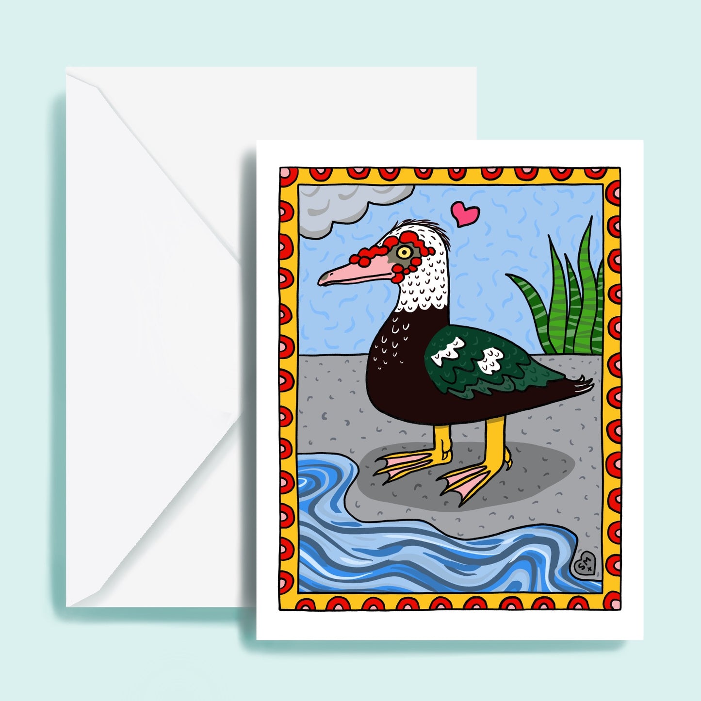 Muscovy Duck