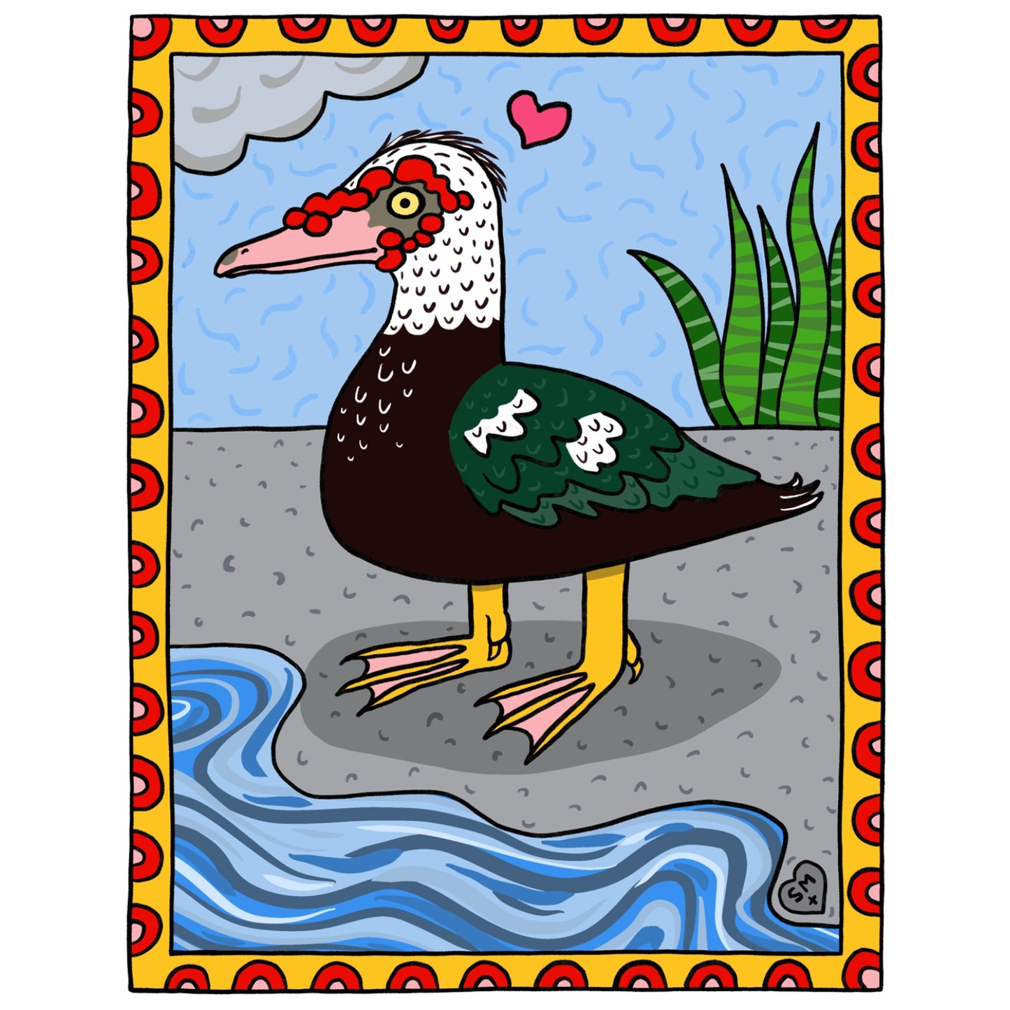 Muscovy Duck
