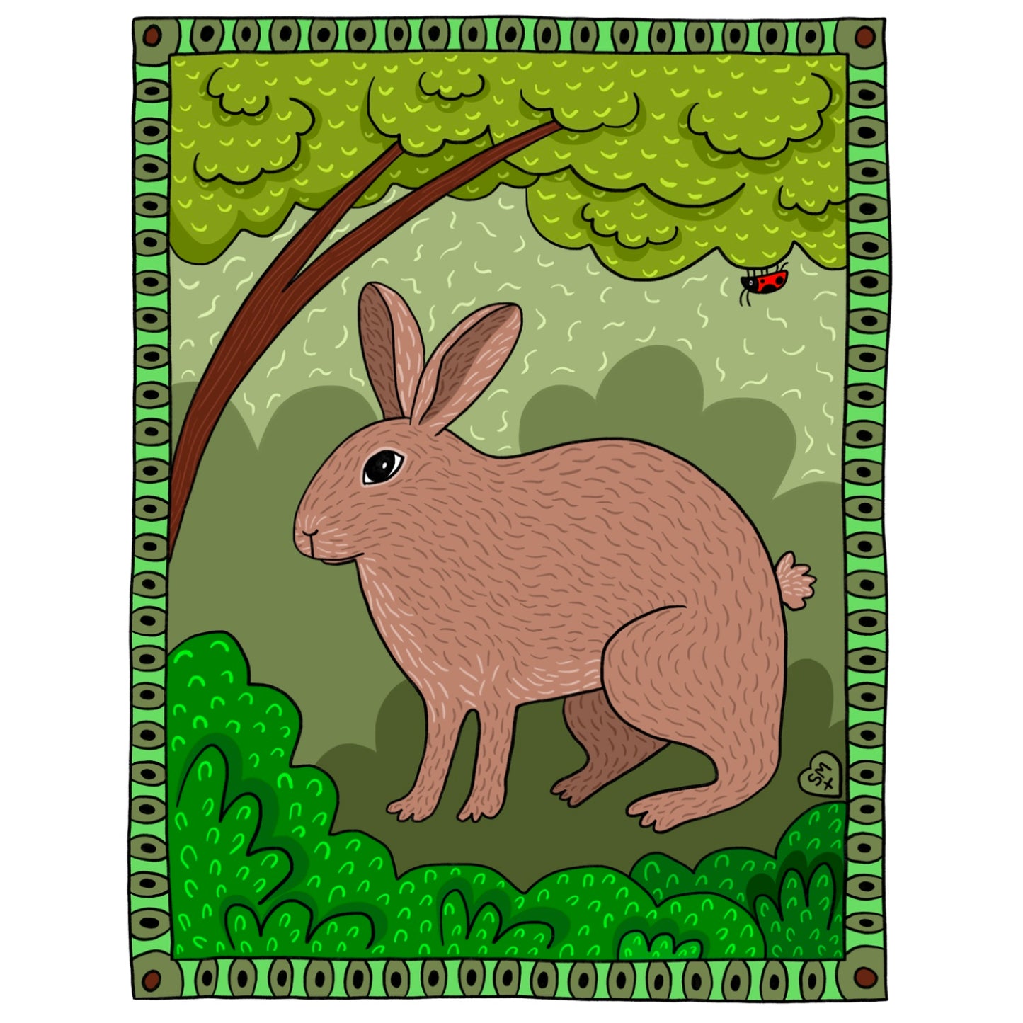 Marsh Rabbit